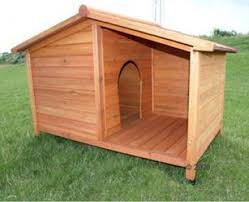insulated large dog house - Google Search