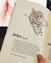 Aries book