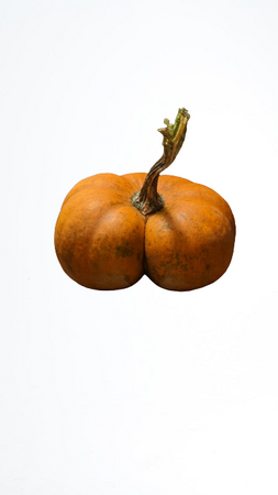 butt pumpkin
