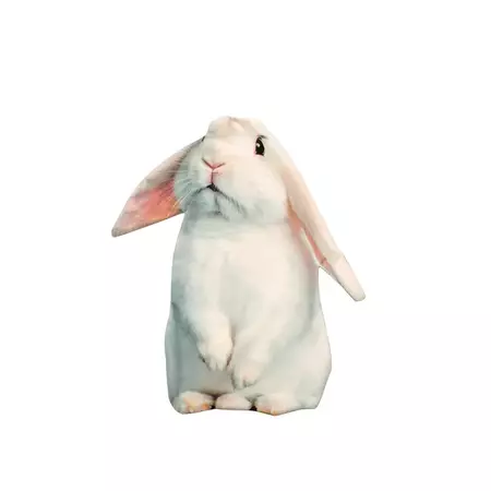 1pc Easter Bunny-shaped Pillow , Pillow Core Not Included | High-quality & Affordable | Temu