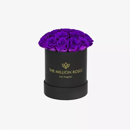 Basic Black Box | Bright Purple Roses | The Million Roses