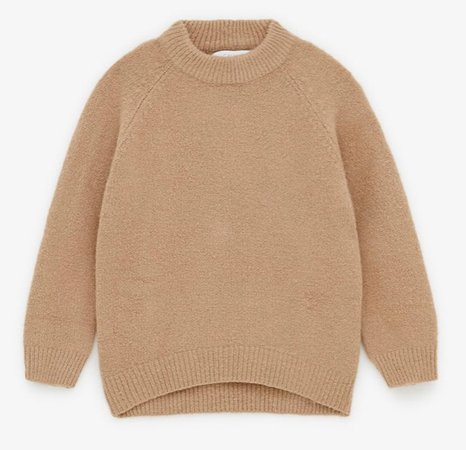 Zara Brown Sweater