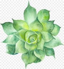 watercolor flower green - Google Search