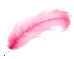 hot pink feather – Google Søgning