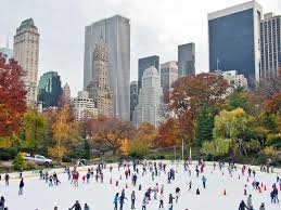 winter new york city - Google Search