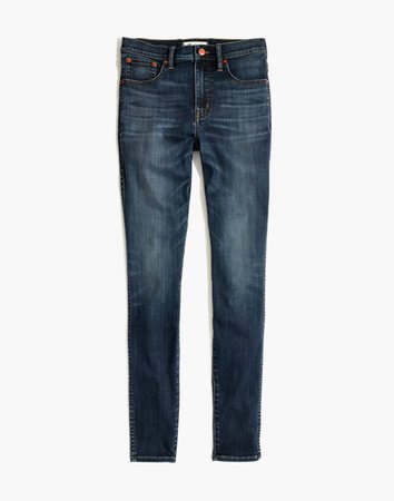 10" High-Rise Skinny Jeans in Danny Wash: Tencel™ Edition