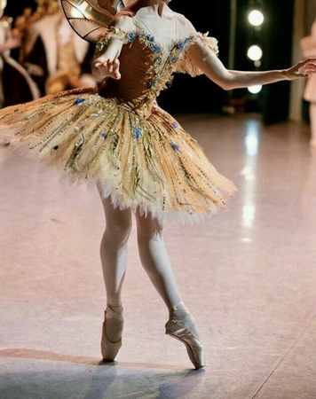 fairy costume ballet