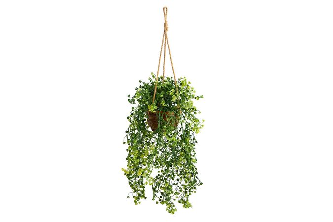 20” Baby Tear Artificial Plant in Hanging Basket | Ashley