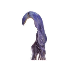 Purple Hair PNG