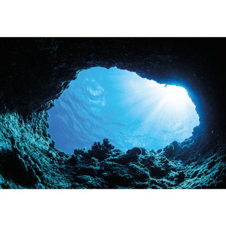 underwater cave without background - Google Search