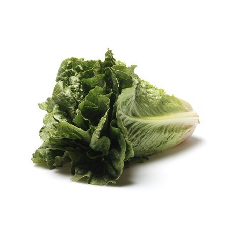 Organic Romaine Lettuce, 1 lb | Whole Foods Market