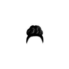 black hair braided bun png