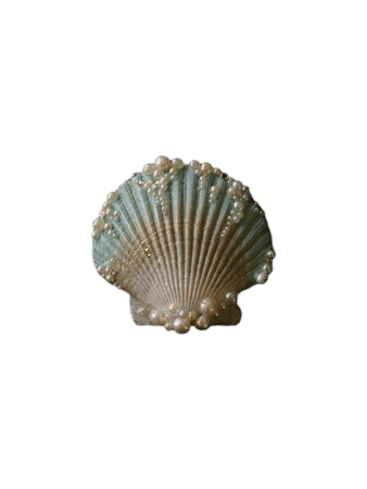 shell brooch with pearls