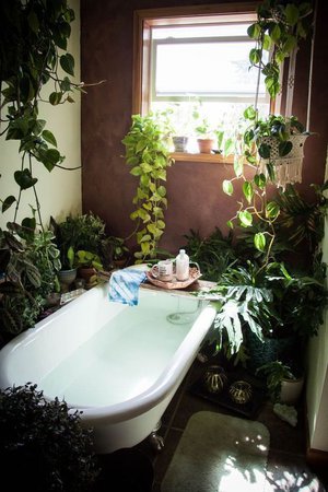 bathroom aesthetic plants - Google Search