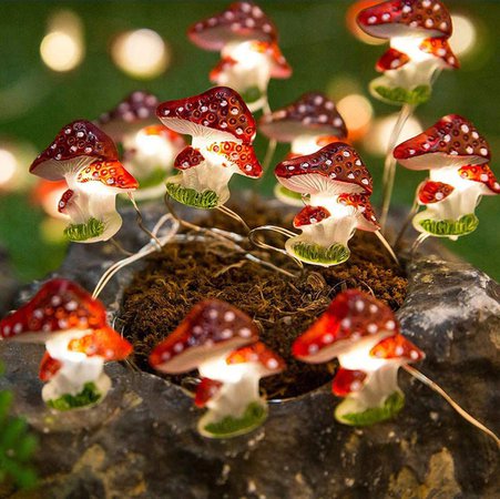 Mushroom Fairy String Lights - Shop Online on roomtery