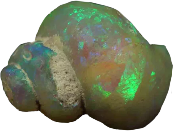 shell opalisedshell opal sticker by @jaislynndmerricksson