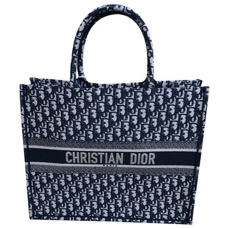 navy Christian Dior bag