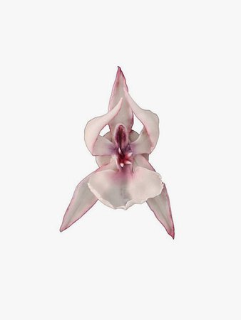 BAGGIRA Ballerina Orchid Earrings Regular price