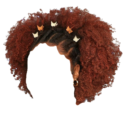 TruleyTalentedBeauty | Ginger Auburn Braided Afro Hair with Butterfly Clips (Dei5 edit)