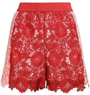Two-tone Guipure Lace Shorts