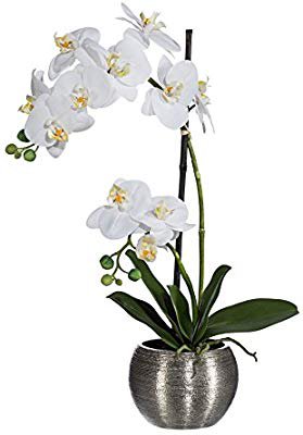 Amazon.com: Deutschmade Artificial Flower, White Orchid Phalaenopsis Including Textured Metallic-Silver Vase, 24": Home & Kitchen