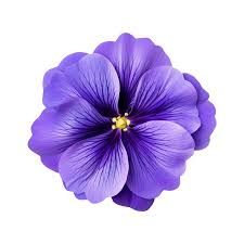 reL flower png purple - Google Search