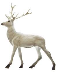 white reindeer white background - Google Search