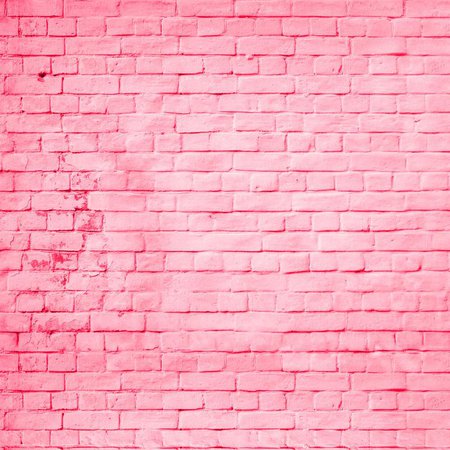 Pink Brick Backdrop colored pink brick wall Printed | Etsy