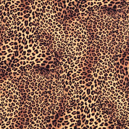 leopard pattern - Google Search