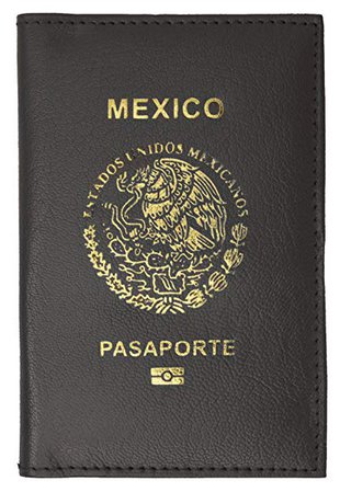mexico passport - Google Search