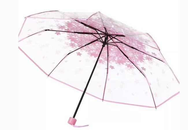Pink Cherry Blossom Clear Umbrella