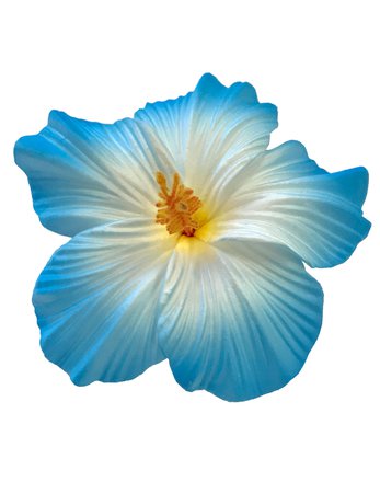 large-flower-hair-clip-KMI-5013-blue.jpg (1250×1620)