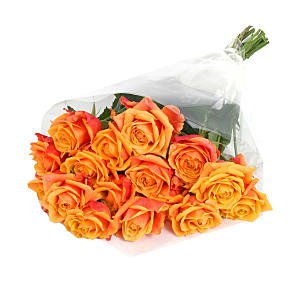 Autumn Flowers | Next Day Delivery | Serenata Flowers