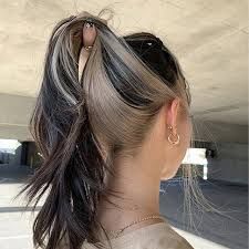 two tone hair color underneath - Google Search