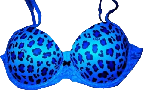 blue leopard print pink bra