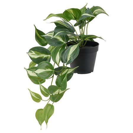 FEJKA Artificial potted plant, indoor/outdoor Golden Pothos, 4 ¾" - IKEA