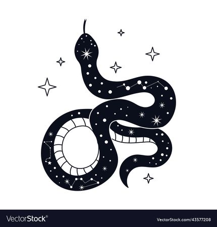 Snake in boho style Royalty Free Vector Image - VectorStock