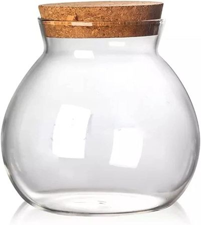 Amazon.com: DANN Spherical Glass Food Storage Container with Cork Lids Large Capacity Sealed Glass Bottles Pot Jar for Kitchen Organizer (Color : D, Size : 240ml) : Home & Kitchen