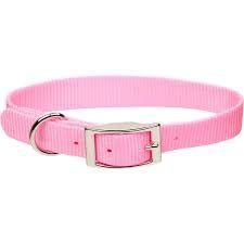 pink dog collar - Google Search