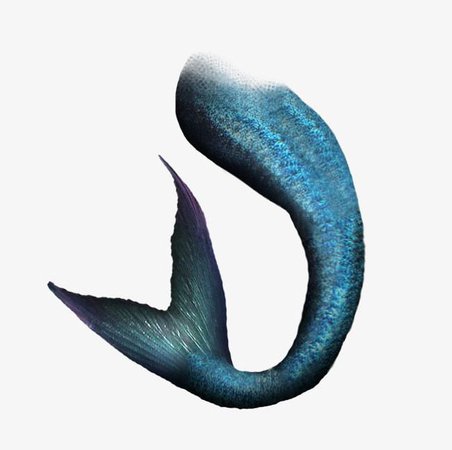 Blue Mermaid Tail (png)