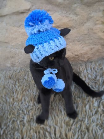 Hat for Cat Pet Hat Pet Costume Crochet Blue Hats for Cats | Etsy