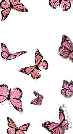 Pink butterflies