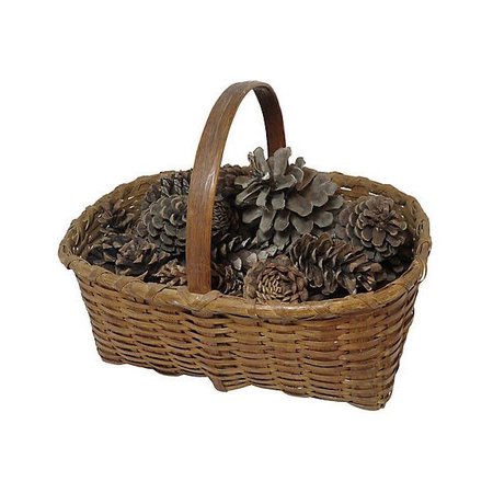 basket with pine cones