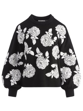 Carwen Embroidered Pullover | Alice And Olivia