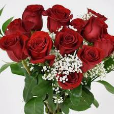 simple small skinny red rose bouquet - Google Search
