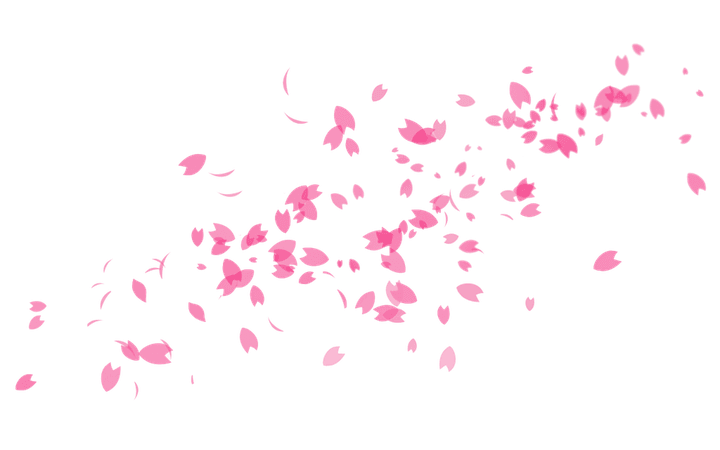 Sakura hira