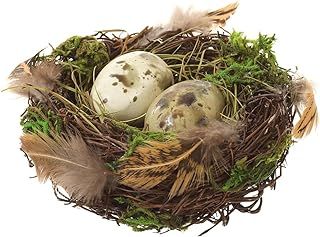 Amazon.com: Birds Nest Decor