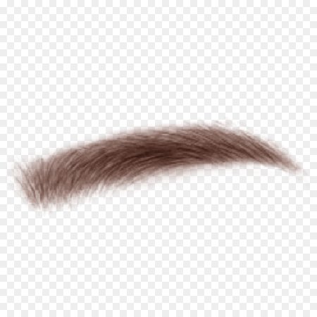 Download Free png Eyebrow Fur - Eyebrow MICROBLADING png download - 1024*1024 - Free ... - DLPNG.com