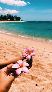 summer hawaii aesthetic - Google Search