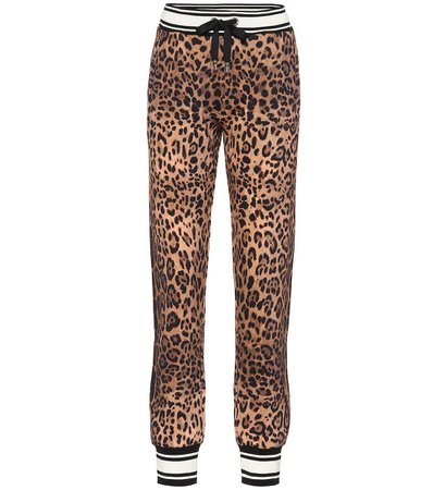 Leopard-Print Cotton Trackpants | Dolce & Gabbana - Mytheresa